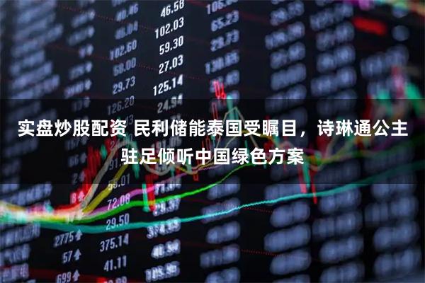实盘炒股配资 民利储能泰国受瞩目，诗琳通公主驻足倾听中国绿色方案