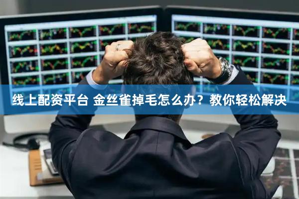 线上配资平台 金丝雀掉毛怎么办？教你轻松解决